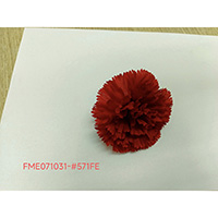 CARNATION HEAD (6 PETALS)