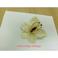 SATIN CYMBIDIUM ORCHID HEAD