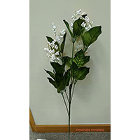 SKELETON SPRAY X 6 W/GYPSO